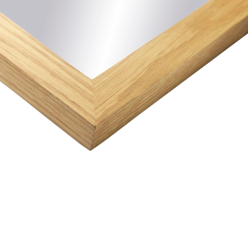 FDB I2 Mossø Spejl 90 x40 cm