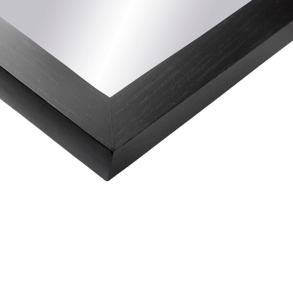 FDB I2 Mossø Spejl 90 x40 cm