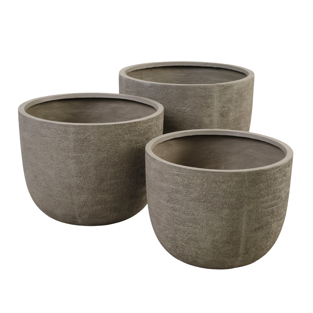 Lexpo Cactus urtepotte (set af 3)