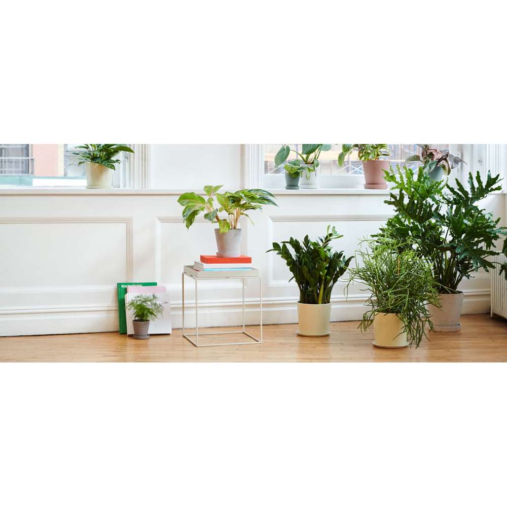 Hay Tray Table bord S