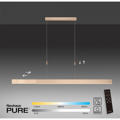 Pure-moto messing Pendel Pendel