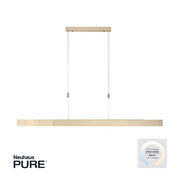 Pure-moto messing Pendel