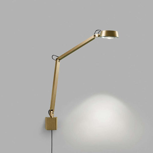 Dark wall mount brass