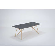 Tink spisebord 200 x 90