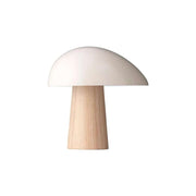 Night Owl™ Bordlampe