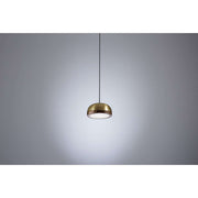 Molly suspension Pendel