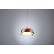 Molly suspension Pendel