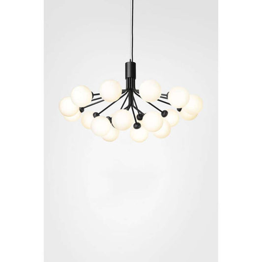 Apiales 18, satin black / opal Loftlampe