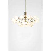 Apiales 18, brushed brass / gold Loftlampe
