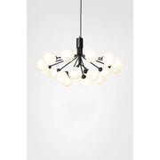 Apiales 18, satin black / opal Loftlampe