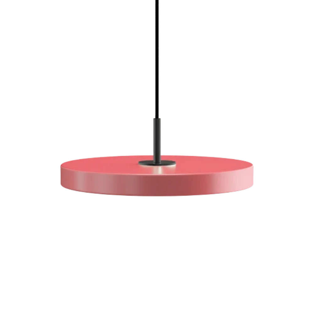 Asteria Mini Nuance Rose - Black Top 31 x 10,5 cm, 2.7m cordset Pendel