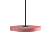 Asteria Plus Mini Nuance rose Sort Top  Pendel